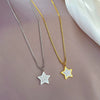 Titanium Steel Fivepointed Star Minimalist Electroplated Necklace Unisex Accessories