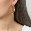 Titanium Steel Geometric Exaggerated Women's Earrings With Electroplating