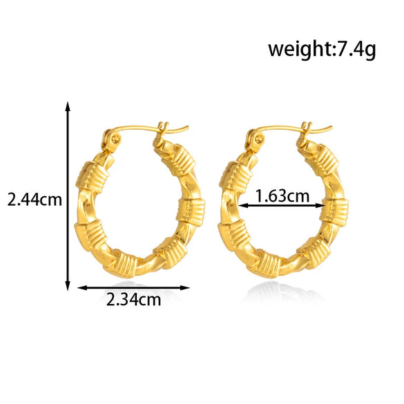 Titanium Steel Light Luxury Star Flower Tassel Earrings With Electroplating