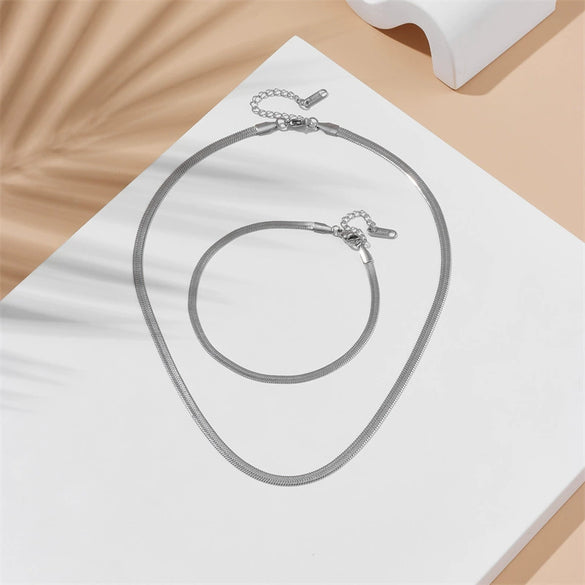 Titanium Steel Snake Bone Chain Necklace Women's Geometric Electroplated Simple Style Light Luxury Accessories