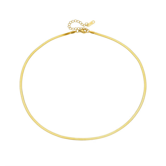 Titanium Steel Snake Bone Chain Necklace Women's Geometric Electroplated Simple Style Light Luxury Accessories