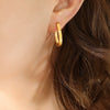 Titanium Steel Ushaped Electroplated Women's Earrings