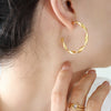 Twisted Ctype Allmatch Earrings For Women Titanium Steel Plated 18K Gold Electroplated Design