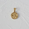 Versatile Pendant Necklace With Serpentine Rose Coin Melon Buckle Woolen Chain Titanium Steel 18K Gold Plated