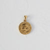 Versatile Pendant Necklace With Serpentine Rose Coin Melon Buckle Woolen Chain Titanium Steel 18K Gold Plated