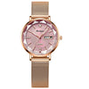 Waterproof Luminous Women's Alloy And Stainless Steel Casual Quartz Watch With Dual Calendar And Round Dial