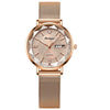 Waterproof Luminous Women's Alloy And Stainless Steel Casual Quartz Watch With Dual Calendar And Round Dial