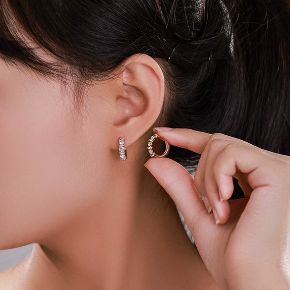 Wholesale Alloy Electroplated Geometric Circle Women's Earrings