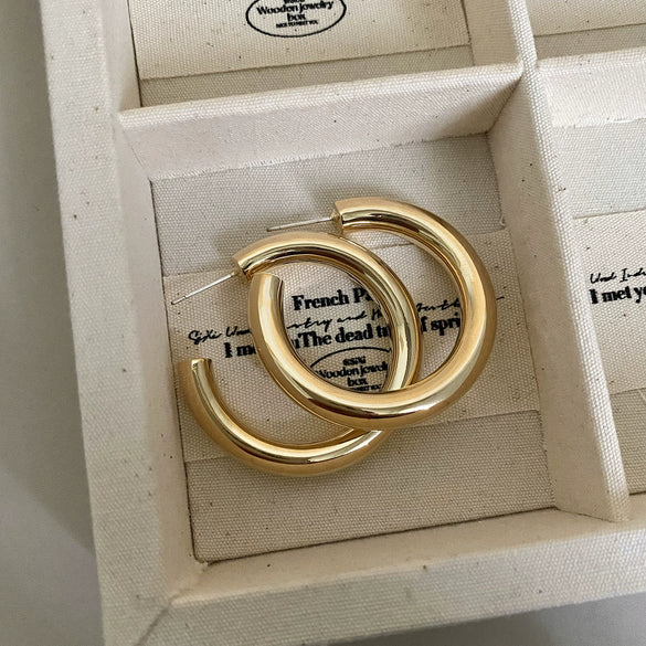 Wholesale Alloy Geometric Metal Earrings With S925 Silver Needle Goldplated For Women