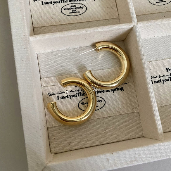 Wholesale Alloy Geometric Metal Earrings With S925 Silver Needle Goldplated For Women