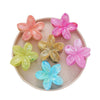 Wholesale Amber Frangipani Head Plate Clip Set Retro Style Injection Molding For Women