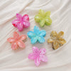Wholesale Amber Frangipani Head Plate Clip Set Retro Style Injection Molding For Women