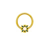 Wholesale Breast Ring Stainless Steel Animal Zodiac Niche Style Electroplated