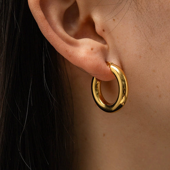 Wholesale Circle Exaggerated Personality Light Luxury Simple Stainless Steel Earrings For Women With Geometric Pattern And Electroplating