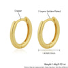 Wholesale Copper Geometric Hoop Earrings Electroplated Simple Minimalist Style