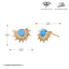 Wholesale Ear Studs S925 Sterling Silver Irregular Fanshaped Semiround Geometric Electroplating Vintage Light Luxury Minimalist Women's