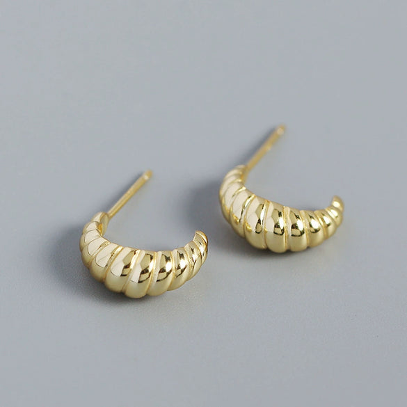 Wholesale Earrings S925 Silver Geometric Style Electroplated For Women