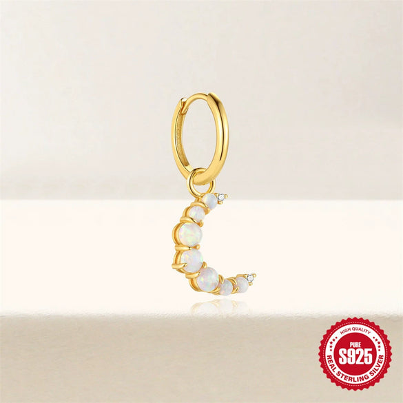 Wholesale Earrings S925 Sterling Silver Geometric Minimalist Electroplated