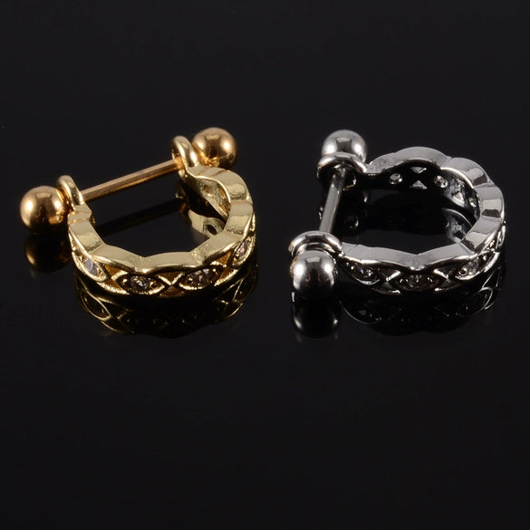 Wholesale Earrings Stainless Steel Copper Inlaid Zircon Leaf Heartshaped Fashionable