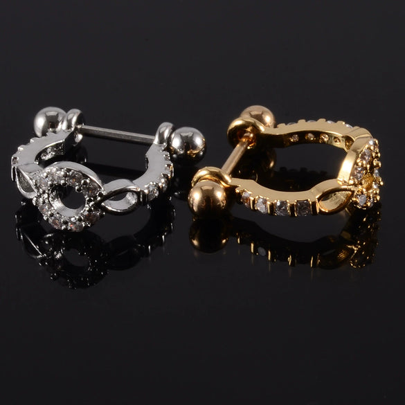 Wholesale Earrings Stainless Steel Copper Inlaid Zircon Leaf Heartshaped Fashionable