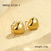 Wholesale Earrings Stainless Steel Geometric Electroplating For Women