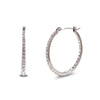 Wholesale Earrings Stainless Steel 18K Gold Plated Geometric Fashion For Women