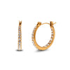 Wholesale Earrings Stainless Steel 18K Gold Plated Geometric Fashion For Women