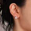 Wholesale Electroplated Geometric Stainless Steel Earrings For Women Light Luxury Minimalist Style