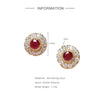 Wholesale Elegant S925 Silver Retro Palace Luxury Ruby Women's Ear Jewelry With Geometric Design And Electroplating