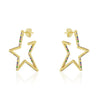 Wholesale Exaggerated Fivepointed Star Earrings For Women S925 Sterling Silver Light Luxury Style Electroplated