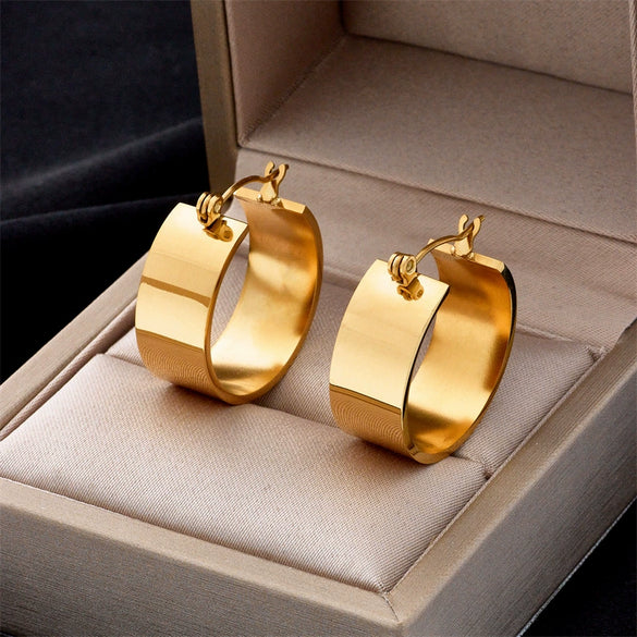 Wholesale Exaggerated Round Ear Buckle Earrings In Advanced Cold Style Titanium Steel Geometric Pattern