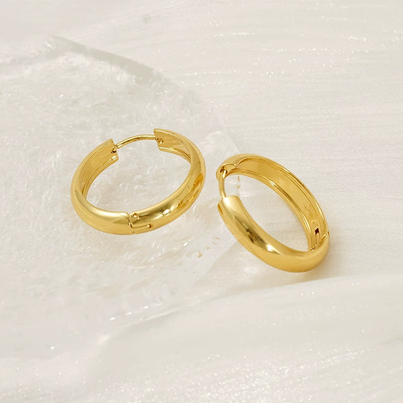 Wholesale Fashion Allmatch Geometric 316L Stainless Steel Electroplated Earrings For Women
