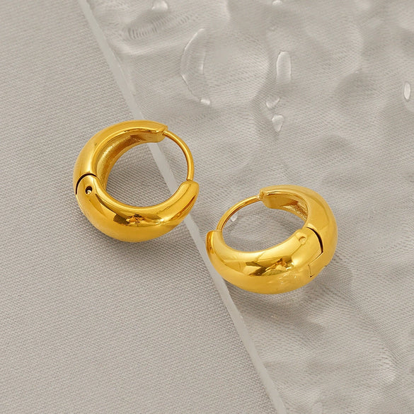 Wholesale Fashion Geometric Stainless Steel Electroplated Earrings For Women