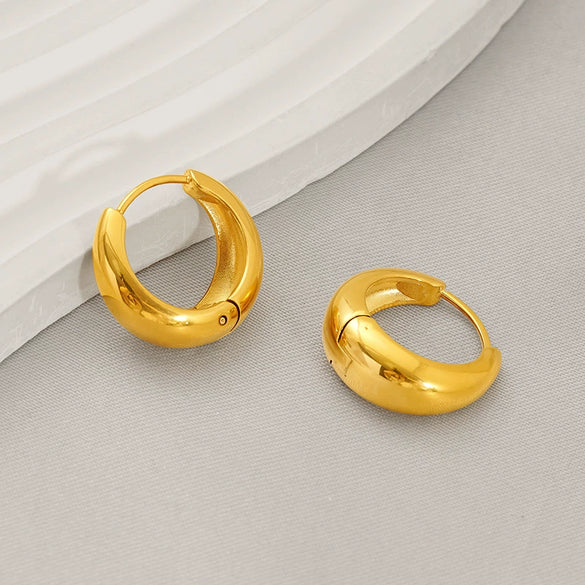 Wholesale Fashion Geometric Stainless Steel Electroplated Earrings For Women