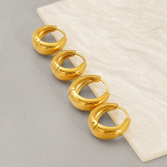 Wholesale Fashion Geometric Stainless Steel Electroplated Earrings For Women