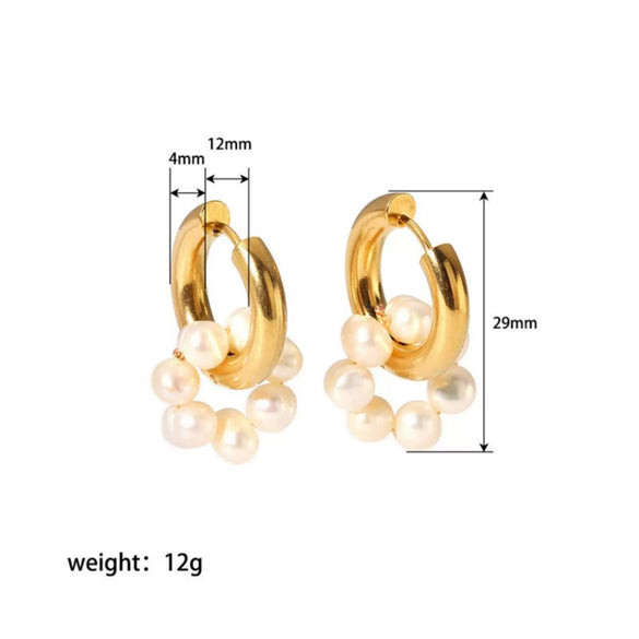 Wholesale Fashion Light Luxury Freshwater Pearl Stainless Steel Earrings With 18K Gold Plated Vacuum Real Gold Electroplating In Pvd Furnace