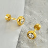 Wholesale Fashion Stainless Steel Geometric Women's Earrings With Electroplating