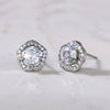 Wholesale Fashion Sweet Flower Zircon Earrings For Women Copper Plated Platinum