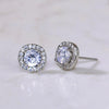 Wholesale Fashion Sweet Flower Zircon Earrings For Women Copper Plated Platinum