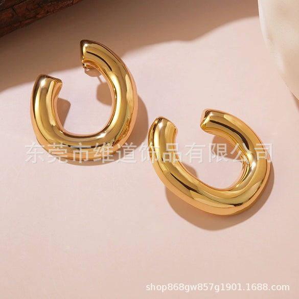 Wholesale Fashionable Simple Exaggerated Stainless Steel Flower Geometric Glossy Earrings With Stamping