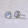 Wholesale Fashionable Sweet Flower Zircon Earrings For Women Copper Plated White Gold