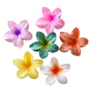Wholesale Female Hair Accessories Egg Flower Clip Simple Style With Electroplating
