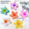 Wholesale Female Hair Accessories Egg Flower Clip Simple Style With Electroplating