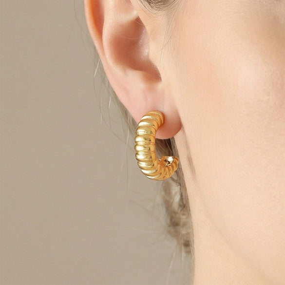 Wholesale Geometric Cshaped Stainless Steel Electroplated Hoop Earrings For Women