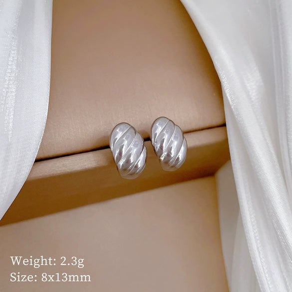 Wholesale Geometric Electroplated Titanium Steel Twisted Eggshaped Minimalist Earrings For Men And Women