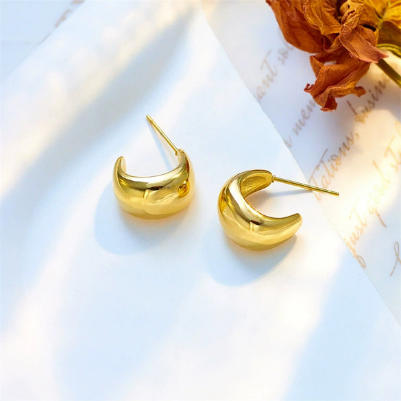 Wholesale Geometric Glossy Hollow Crescent Titanium Steel Earrings With Electroplating Unisex Cold Style Jewelry