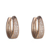 Wholesale Geometric Oval Microencrusted Zircon Earrings For Women Electroplated