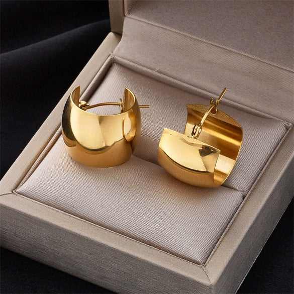 Wholesale Geometric Round Titanium Steel Electroplated Women's Jewelry Earrings Simple Highgrade Cold Style For Commuting