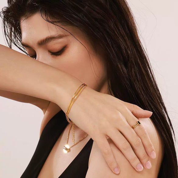 Wholesale Geometric Simple Style Goldplated Titanium Steel Ferris Wheel Snake Bone Bracelet For Unisex