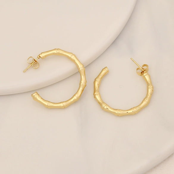 Wholesale Geometric Stainless Steel Earrings With Electroplating For Women Simple And Personalized